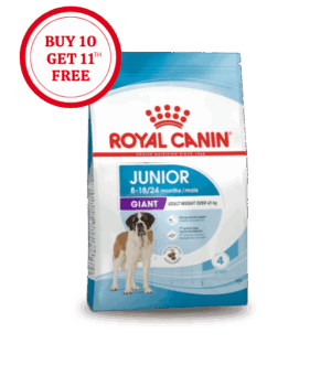 Royal Canin Junior Giant Dry Food