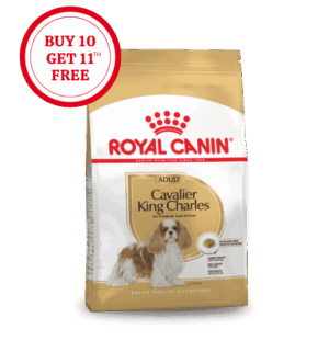 Royal Canin Cavalier King Charles Adult Dry Food