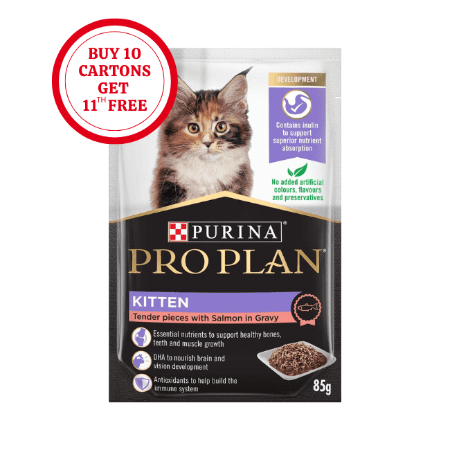 Pro Plan Kitten Salmon in Gravy Wet Food