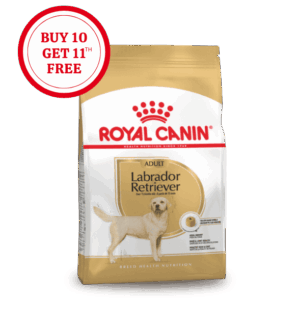 Royal Canin Labrador Retriever Adult Dry Food