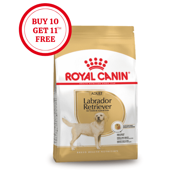 Royal Canin Labrador Retriever Adult Dry Food
