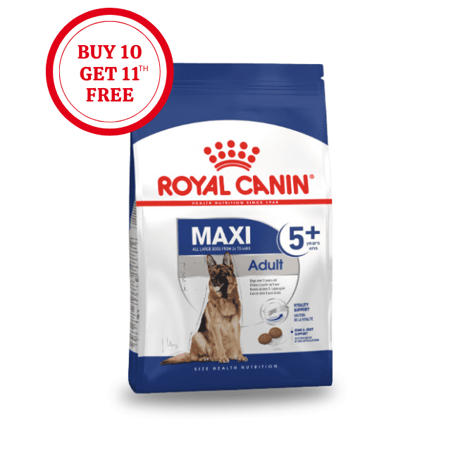 Royal Canin Senior Maxi Adult 5+ Dry Food
