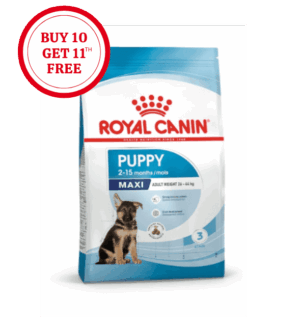 Royal Canin Maxi Puppy Dry Food