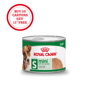 Royal Canin Mini Adult Loaf Wet Food