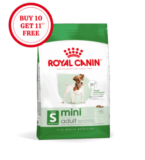 Royal Canin Mini Adult Dry Food