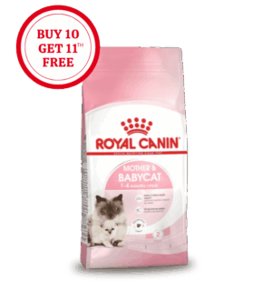 Royal Canin Mother & Babycat