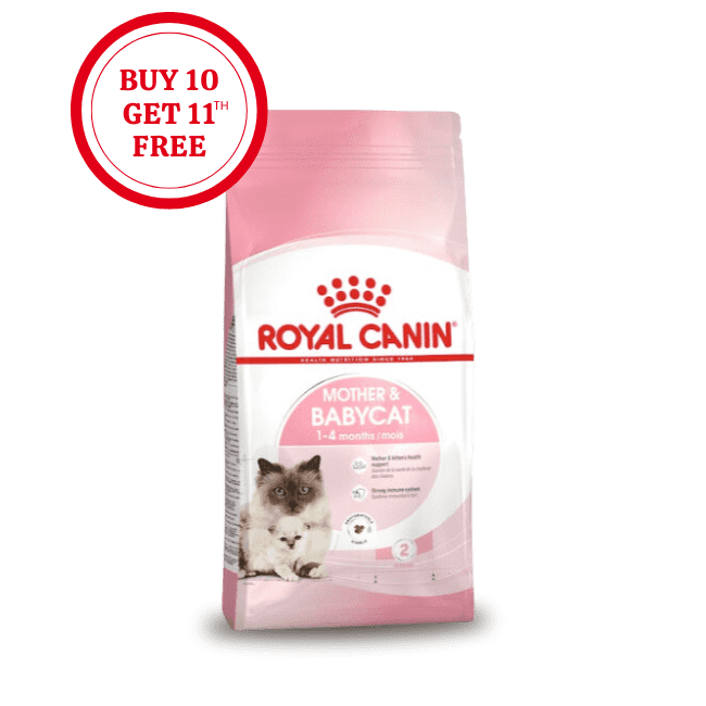 Royal Canin Mother & Babycat