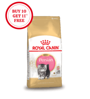 Royal Canin Persian Kitten