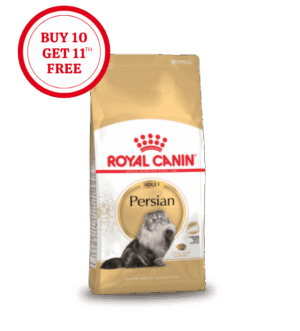 Royal Canin Persian Adult