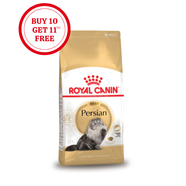 Royal Canin Persian Adult