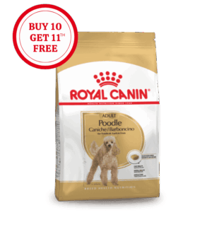 Royal Canin Poodle Adult Dry Food