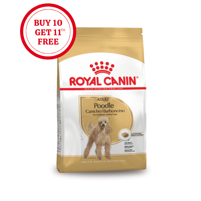 Royal Canin Poodle Adult Dry Food
