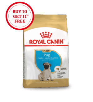Royal Canin Pug Puppy Dry Food