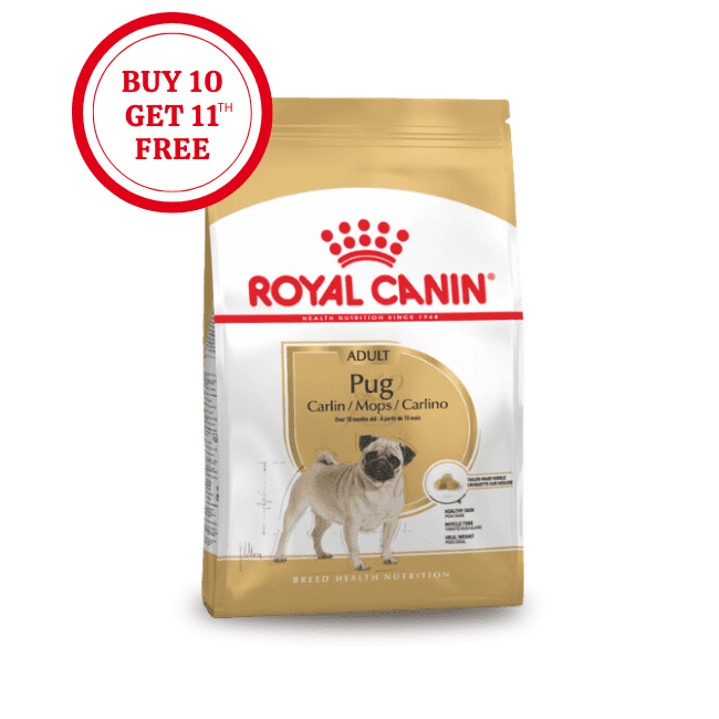 Royal Canin Pug Adult Dry Food