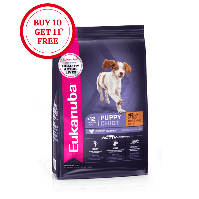 Eukanuba Puppy Medium Breed Dry Dog Food