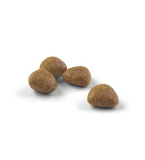 Royal Canin Active Life Outdoor