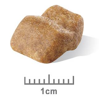 Royal Canin Bulldog Puppy Dry Food - Image 3