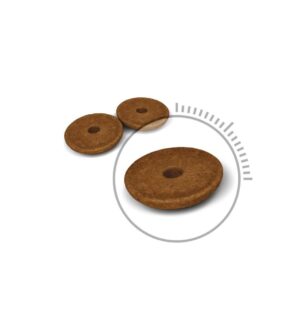 Royal Canin Digestive Care Dry Cat Food