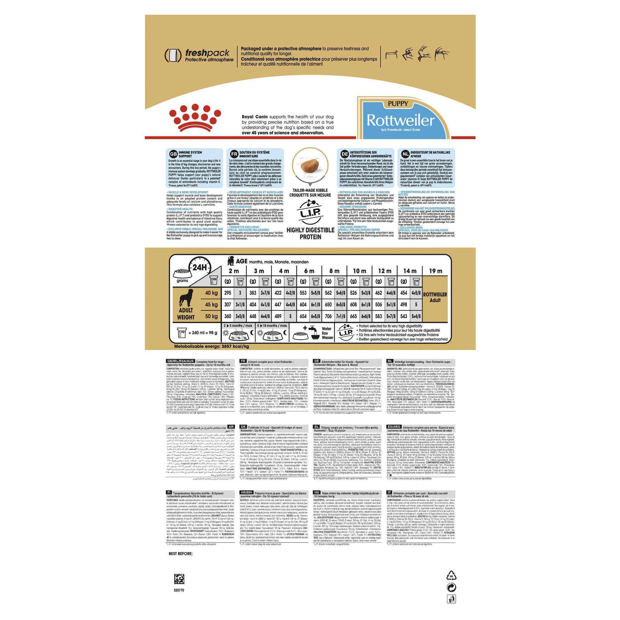 Royal Canin Rottweiler Puppy Dry Food - Image 2
