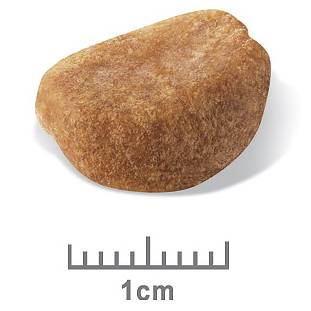 Royal Canin Rottweiler Puppy Dry Food - Image 3