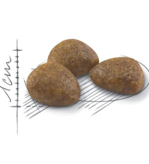 Royal Canin Active Life Outdoor 7+ Cat Food