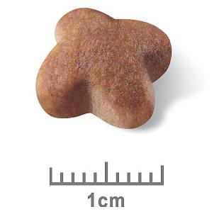 Royal Canin Jack Russell Adult Dry Food - Image 3