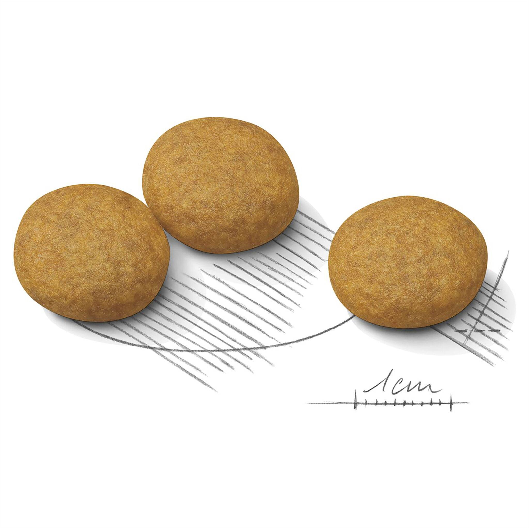 Royal Canin Maxi Dermacomfort Dry Food - Image 3