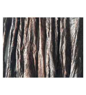 Ranger Beef Bully Sticks - Dental Chew 15cm