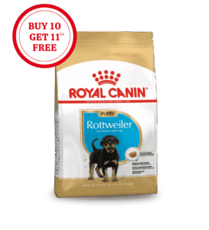 Royal Canin Rottweiler Puppy Dry Food