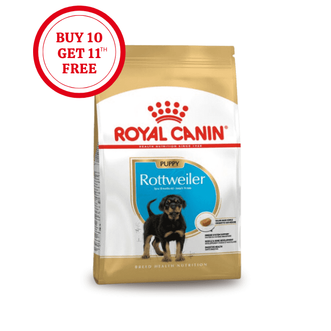 Royal Canin Rottweiler Puppy Dry Food