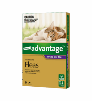 Advantage™ Fleas for Cats Over 4kg, 4 Pack