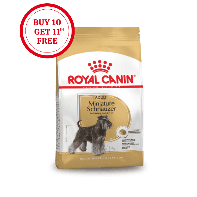 Royal Canin Miniature Schnauzer Adult Dry Food