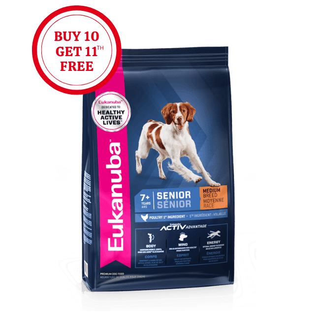 Eukanuba Senior Medium Breed Dry Dog Food