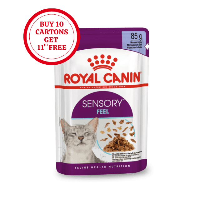 Royal Canin Sensory Feel Morsels in Jelly