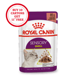 Royal Canin Sensory Smell Chunks in Jelly
