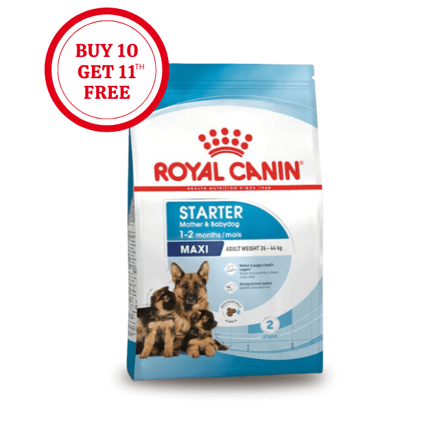 Royal Canin Maxi Starter Mother & Babydog Dry Food