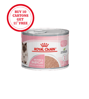Royal Canin Mother & Babycat Mousse