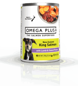 Omega Plus Dog King Salmon with Lamb and Sweet Potato Wet Dog Food