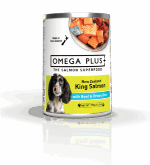 Omega Plus Dog King Salmon with Beef and Brown Rice Wet Dog Food