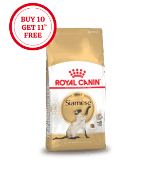 Royal Canin Siamese Adult