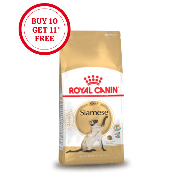 Royal Canin Siamese Adult